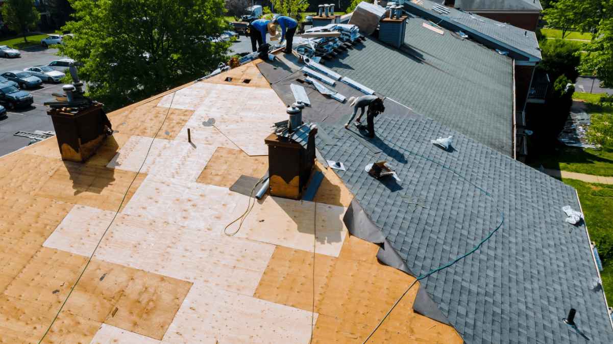 Best Roofers Dallas Team