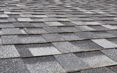 Roofing Innovations: Trends Reshaping Roofing Businesses