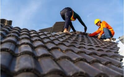 Ultimate Roofing Care Guide: Expert Tips from the Top Dallas Residential Roofing Company 